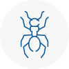 Ant Removals In Bonds