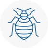 Bed Bug Extermination In Bonds