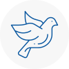 Bird Prevention Bonds