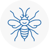 Bonds Hornet Nest Removals