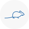 Mice Exterminators In Bonds