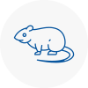 Rat Control Bonds
