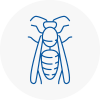 Bonds Wasp Nest Removal